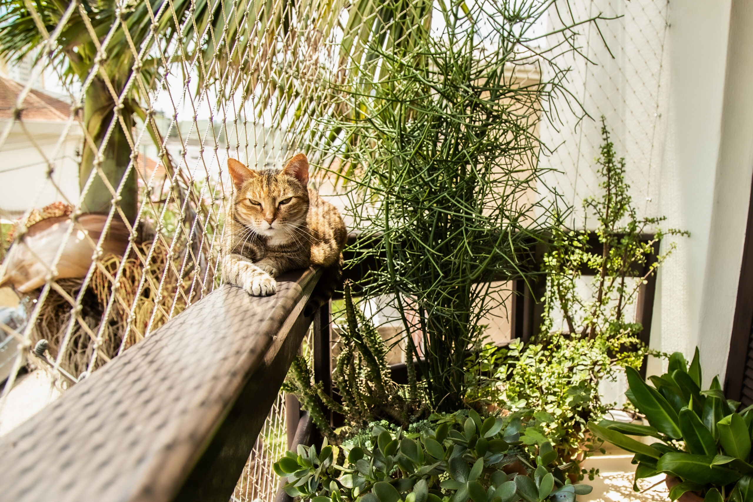 Filet pour chat Balcon - Bannière accueil